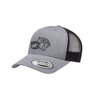 Wildcats Stealth Cap